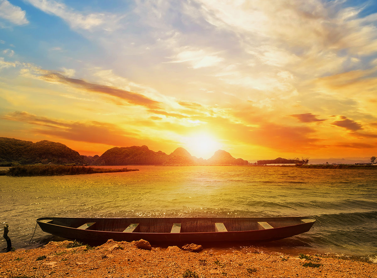 Nature Photo Collection